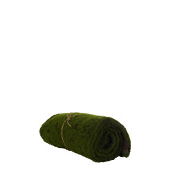 comprar ALFOMBRA MOSS 100X30 online de  desde 39,48 €