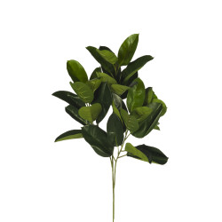 comprar 306599 RAMA FICUS RUBBER X31H 95CM online de desde 41,14 € comprar 306599 RAMA FICUS RUBBER X31H 95CM online de desde 41,14 €