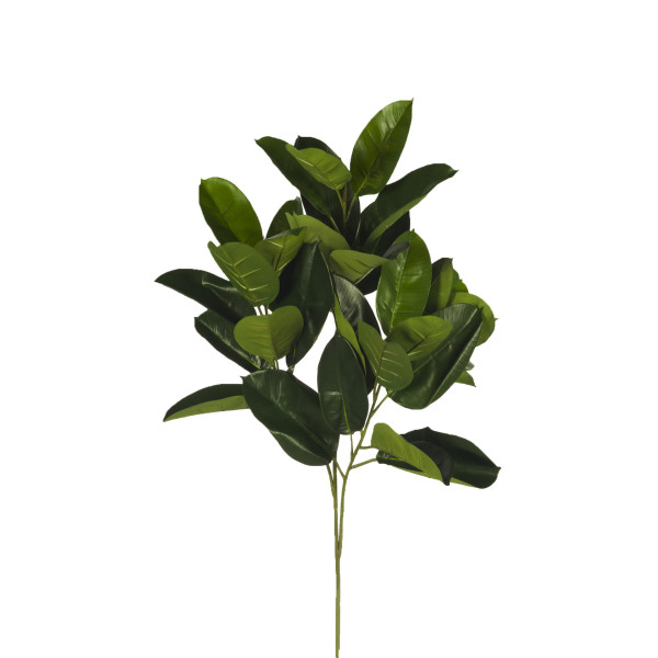 306599 RAMA FICUS RUBBER X31H 95CM
