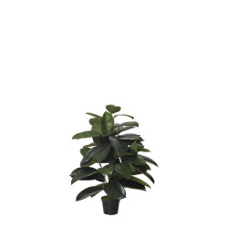 comprar 473728 FB PLANTA FICUS RUBBER 70CM C/M(306599) online de desde 217,53 € comprar 473728 FB PLANTA FICUS RUBBER 70CM C/M(306599) online de desde 217,53 €