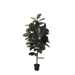 comprar 480351 FB ARBOL FICUS RUBBER TUBO 150CM C/M (30 online de  desde 150,04 €