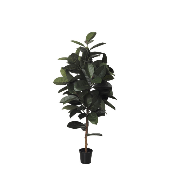 480351 FB ARBOL FICUS RUBBER TUBO 150CM C/M (30