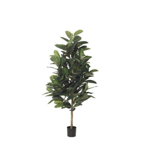 480111 ARBOL FICUS RUBBER X92 120CM IM