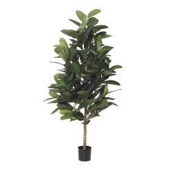 comprar 480129 ARBOL FICUS RUBBER 180CM IM online de desde 309,76 € comprar 480129 ARBOL FICUS RUBBER 180CM IM online de desde 309,76 €