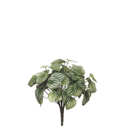 comprar 478124 MATA PEPEROMIA X3/60H online de  desde 19,36 €