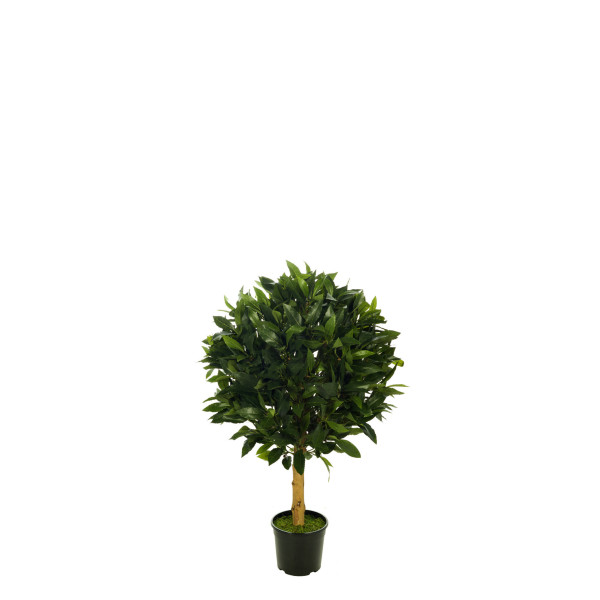 473471 FB TOPIARI BOLA LAUREL DIA:50CM C/M