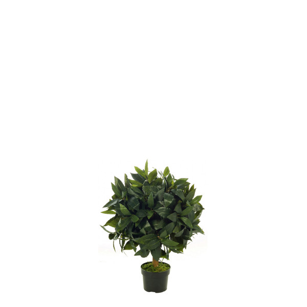 478934 FB TOPIARI BOLA LAUREL 5R DIA:30CM C/M