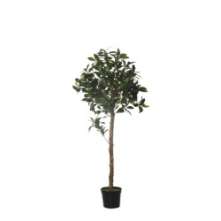 comprar 479099 FB ARBOL RAMA LAUREL 140CM C/M (300369) online de  desde 211,37 €