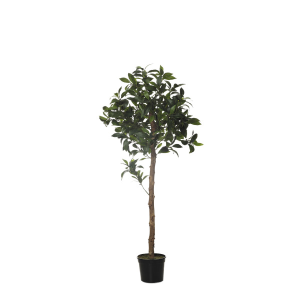 479099 FB ARBOL RAMA LAUREL 140CM C/M (300369)
