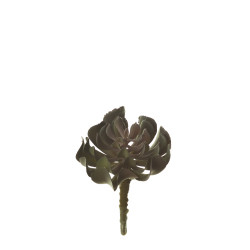 comprar 853441 PICK CRASA RUNYONI PQÑA. online de desde 7,50 € comprar 853441 PICK CRASA RUNYONI PQÑA. online de desde 7,50 €