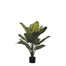 comprar PLANTA DIFFENBACHIA C/MAC X28H 112CM online de desde 141,57 € comprar PLANTA DIFFENBACHIA C/MAC X28H 112CM online de desde 141,57 €