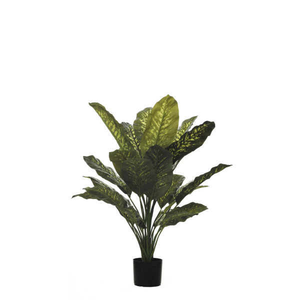 PLANTA DIFFENBACHIA C/MAC X28H 112CM