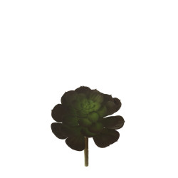 comprar 853467 PICK CRASA CHICHUA MED. online de  desde 11,24 €