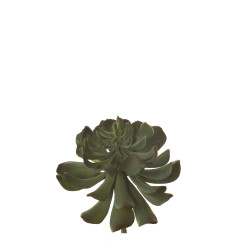comprar 853433 PICK GRASA RUNYONI MED. online de  desde 15,73 €