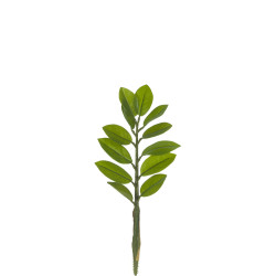 comprar 306698 ZAMIOCULCA 39CM X12H online de desde 4,84 € comprar 306698 ZAMIOCULCA 39CM X12H online de desde 4,84 €