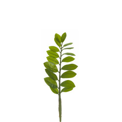 comprar 306705 ZAMIOCULCA 54CM X18H online de  desde 6,05 €