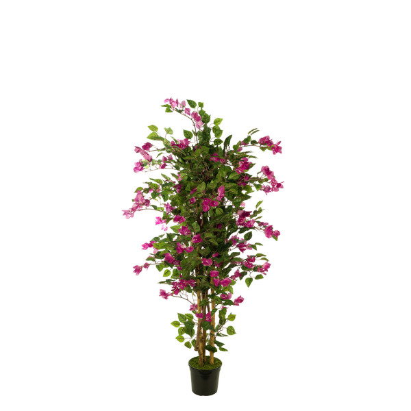 474156 FB AR.BUGAMBILIA 150CM