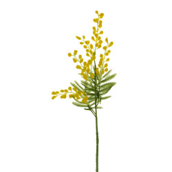 117772 VARA MIMOSA X5 117772 VARA MIMOSA X5