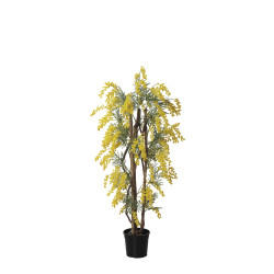 comprar 480343 FB ARBOL MIMOSA 100CM online de  desde 366,75 €