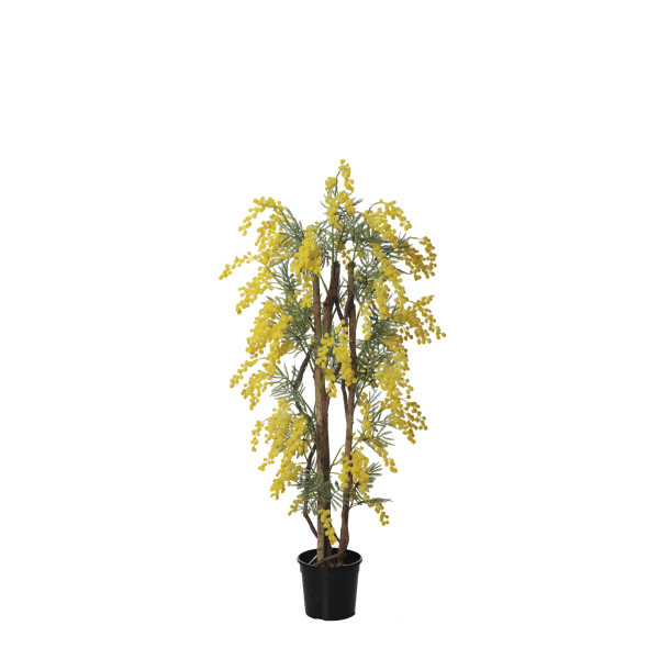 480343 FB ARBOL MIMOSA 100CM
