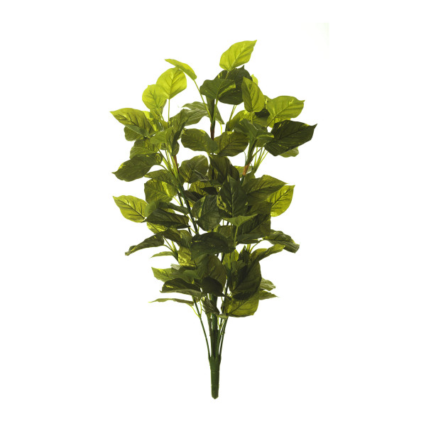 475609 PLANTA POTHOS X13 TACTO NAT. 95CM