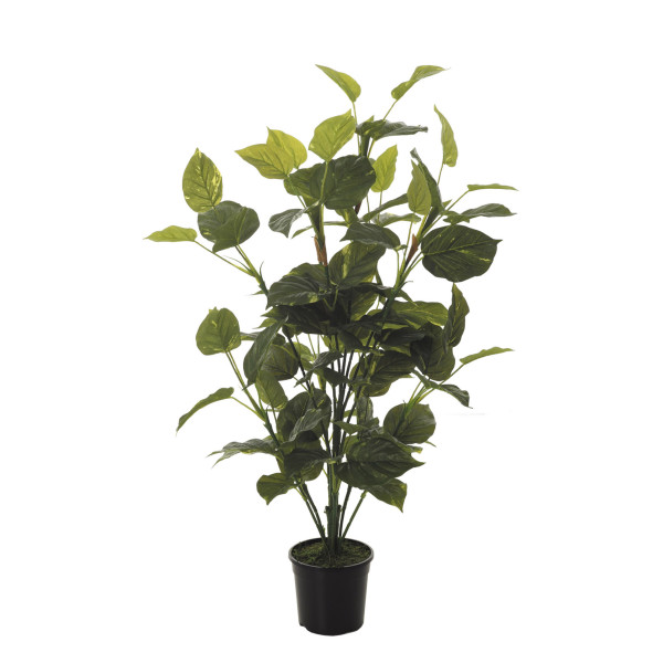 FB PLANTA POTHOS X13 TACTO NAT.97CM C/M