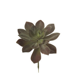 comprar 853376 PICK GRASA PERLE VON NUMBERG online de desde 44,47 € comprar 853376 PICK GRASA PERLE VON NUMBERG online de desde 44,47 €