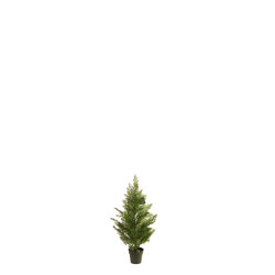 comprar 470360 CIPRES 60CM CEDAR online de desde 50,46 € comprar 470360 CIPRES 60CM CEDAR online de desde 50,46 €