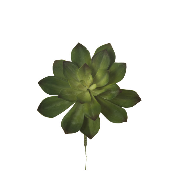 853376 PICK GRASA PERLE VON NUMBERG