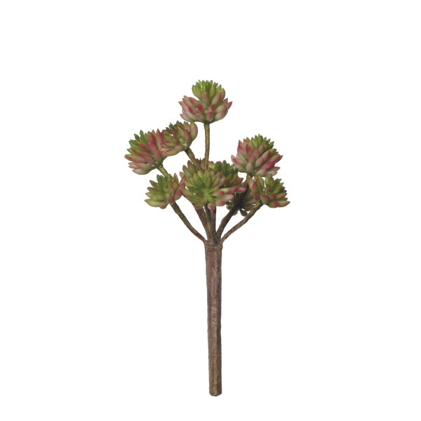 854093 PICK CRASA X10 23CM