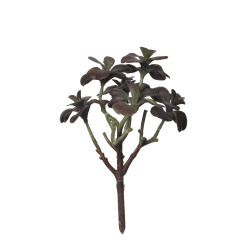 comprar 854077 MATA CRASA KALANCHOE 25CM online de desde 12,92 € comprar 854077 MATA CRASA KALANCHOE 25CM online de desde 12,92 €