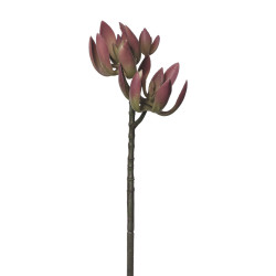 comprar 854043 CRASA VARA X3 50CM online de desde 9,68 € comprar 854043 CRASA VARA X3 50CM online de desde 9,68 €