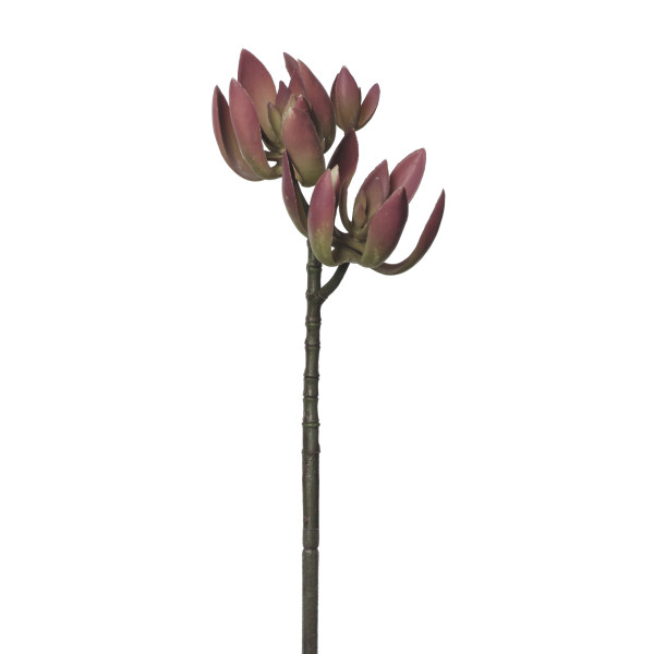 854043 CRASA VARA X3 50CM