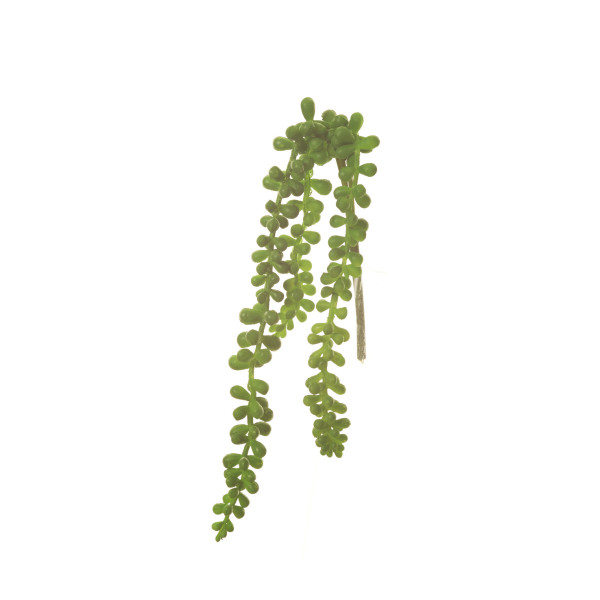 853029 PICK MORGANIANUM COLA BURRO X3 35CM