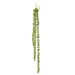 comprar 853037 PICK MORGANIANUM COLA BURRO LARGO X3 70C online de desde 9,68 € comprar 853037 PICK MORGANIANUM COLA BURRO LARGO X3 70C online de desde 9,68 €