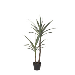 comprar 480038 PLANTA YUCCA X2 112CM online de  desde 310,43 €