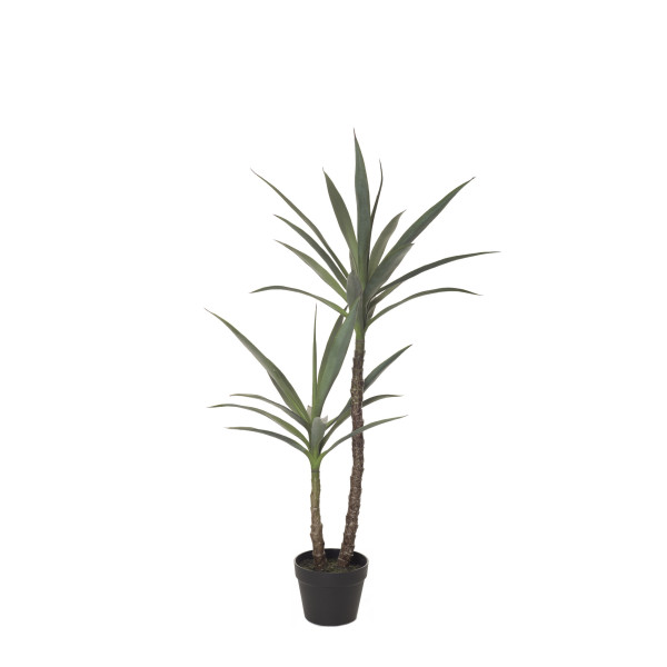 480038 PLANTA YUCCA X2 112CM