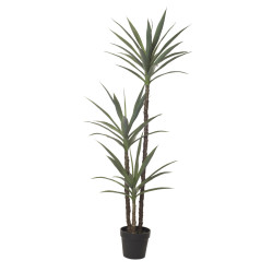 comprar 480038 PLANTA YUCCA X2 112CM online de  desde 310,43 €