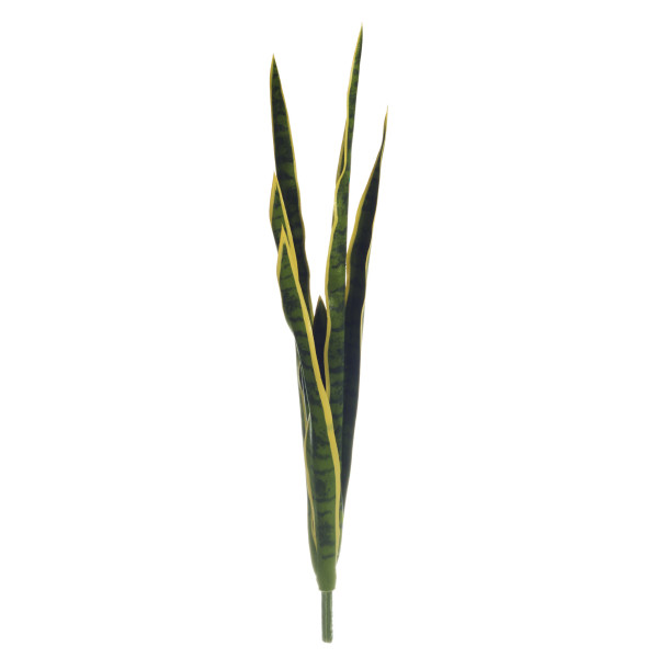 472134 SANSIVIERA X6 80CM PLASTICO