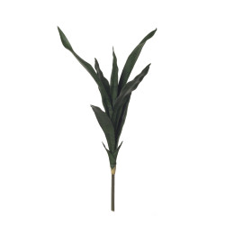 comprar 480260 SANSIVIERA X7 69CM online de desde 24,20 € comprar 480260 SANSIVIERA X7 69CM online de desde 24,20 €