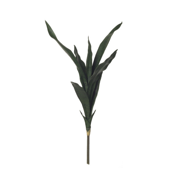 480260 SANSIVIERA X7 69CM