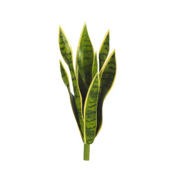 comprar 472986 SANSIVIERA ANCHA X9 40CM online de  desde 50,82 €