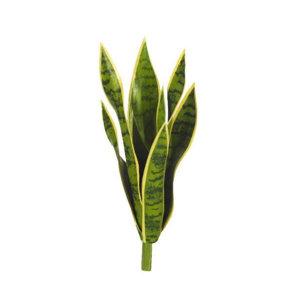 472986 SANSIVIERA ANCHA X9 40CM