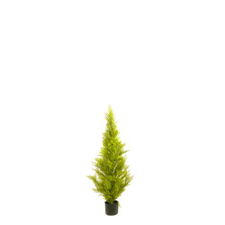comprar 470386 CIPRES 90CM CEDAR online de desde 76,23 € comprar 470386 CIPRES 90CM CEDAR online de desde 76,23 €