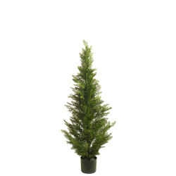 comprar 470401 CIPRES 150CM CEDAR online de desde 240,79 € comprar 470401 CIPRES 150CM CEDAR online de desde 240,79 €