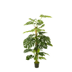 comprar 475295 FB TUTOR MONSTERA 155CM C/M online de  desde 251,68 €