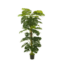 comprar FB TUTOR MONSTERA 3G/60H 180CM online de  desde 507,96 €