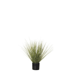 comprar 478463 PLANTA GRASS C/MAC 64CM BI online de  desde 120,49 €