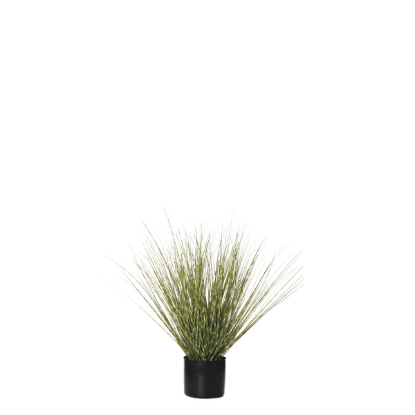 478463 PLANTA GRASS C/MAC 64CM BI