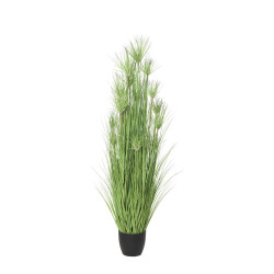 comprar 480096 PLANTA GRASS/PAPIRUS 62CM online de  desde 82,63 €